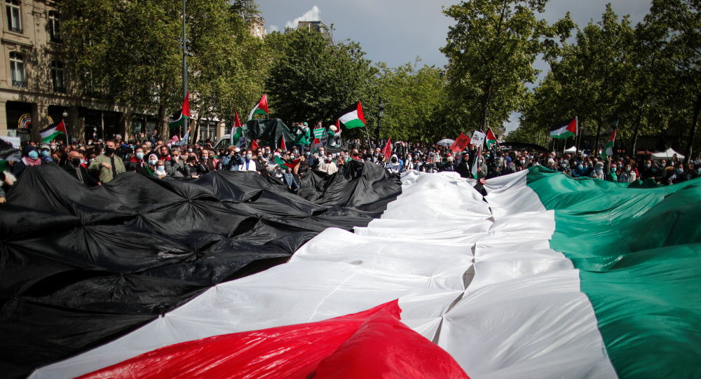 Thousands rally in France in support of Palestinians