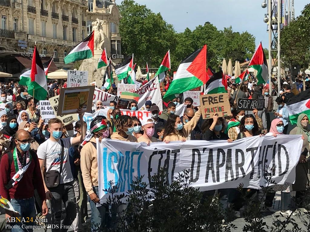 Photos: Solidarity with Palestine in Montpellier, France