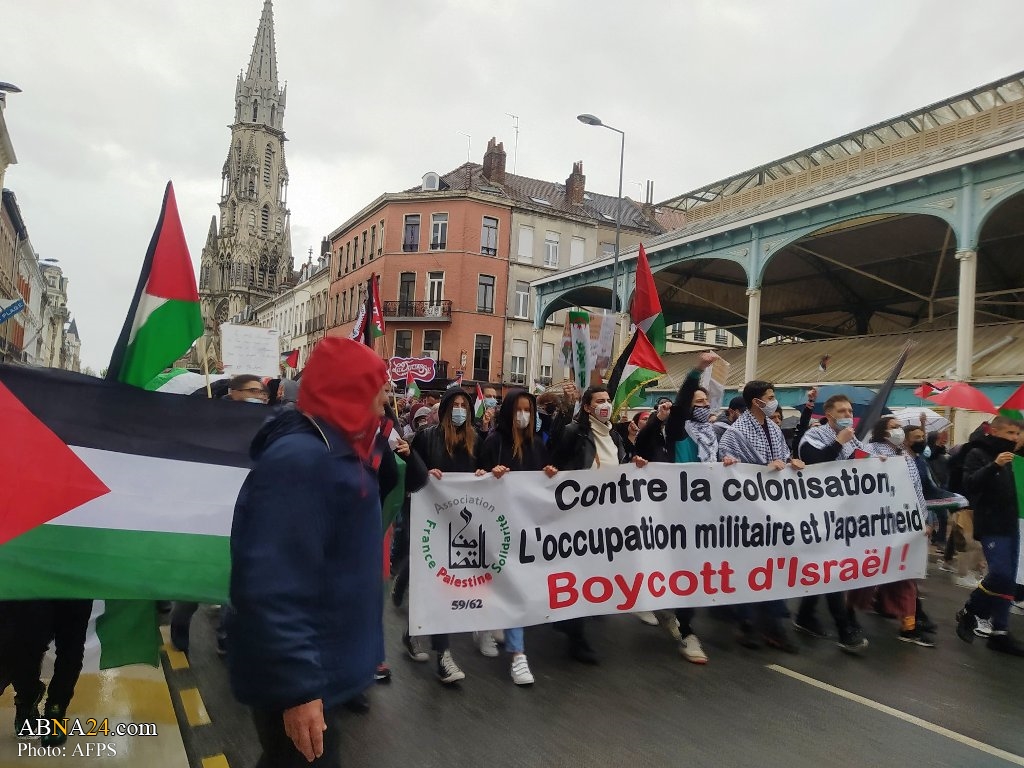 Photos: Solidarity with Palestine in Lille, France 