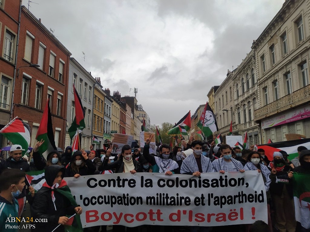 Photos: Solidarité avec la Palestine à Lille, France