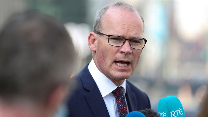 Irlandia Desak Israel Akhiri Perampasan Tanah Palestina
