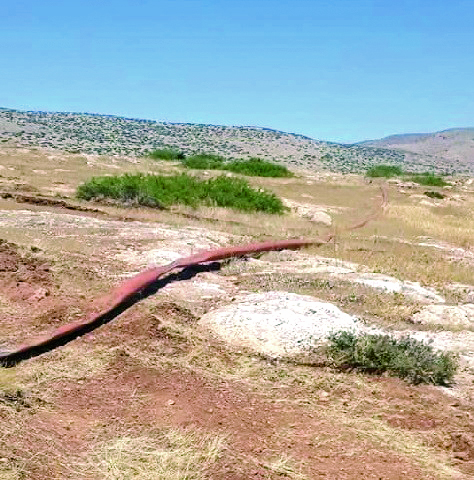 مستوطنون يمددون خطوط مياه في أراضي بالأغوار بهدف الاستيلاء