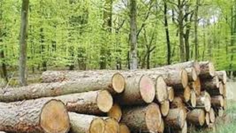 Әрбил вә Бағдад Түркијәјә гаршы бәјанат јајыблар