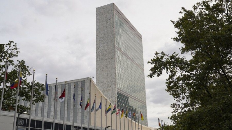 国連、「米の制裁はコロナ世界的流行時代における人権侵害の主要素」