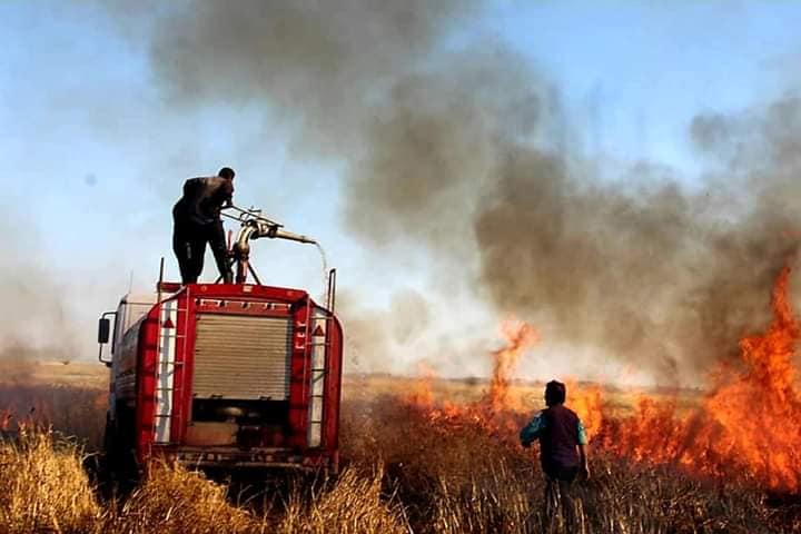 الاحتلال التركي يحرق حقول القمح شمال سوريا