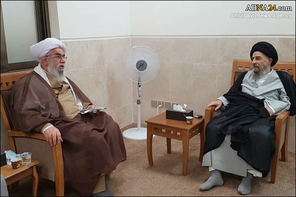 تصویری رپورٹ/ اہل بیت(ع) عالمی اسمبلی کے سیکرٹری جنرل کی آیت اللہ مدرسی سے ملاقات