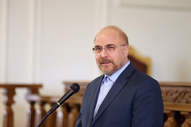 Fighting terrorism requires global determination: Iran's Parliament Speaker