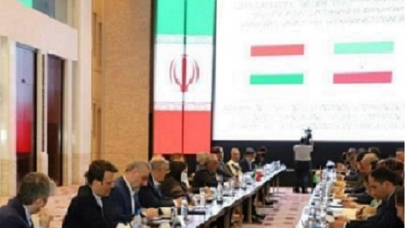 İran'ın Tacikistan'daki Yatırımlarını Arttırma Talebi