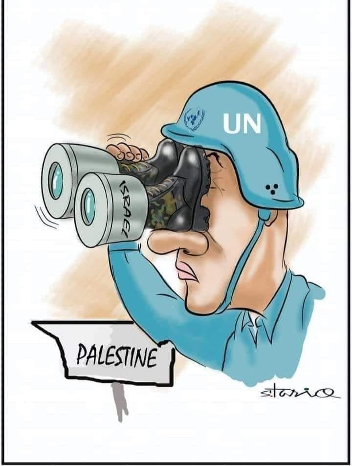 Photos: Role of the United Nations on the current situation!