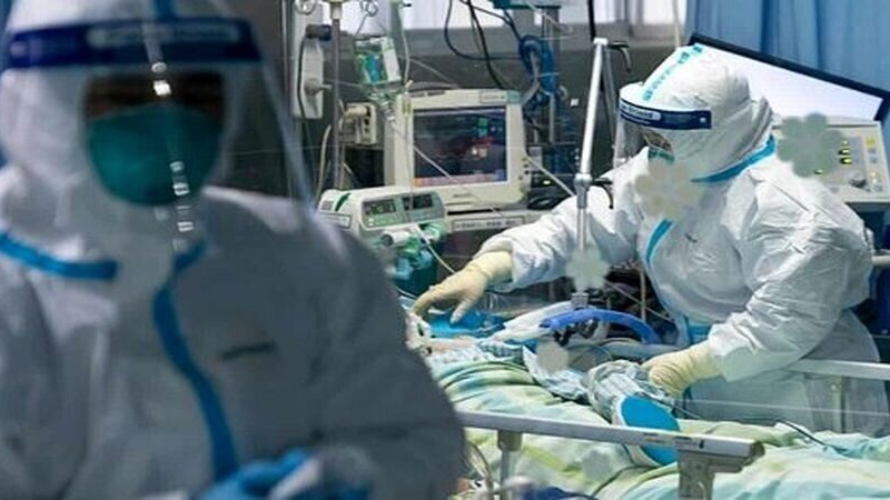 伊印联合生产新冠疫苗