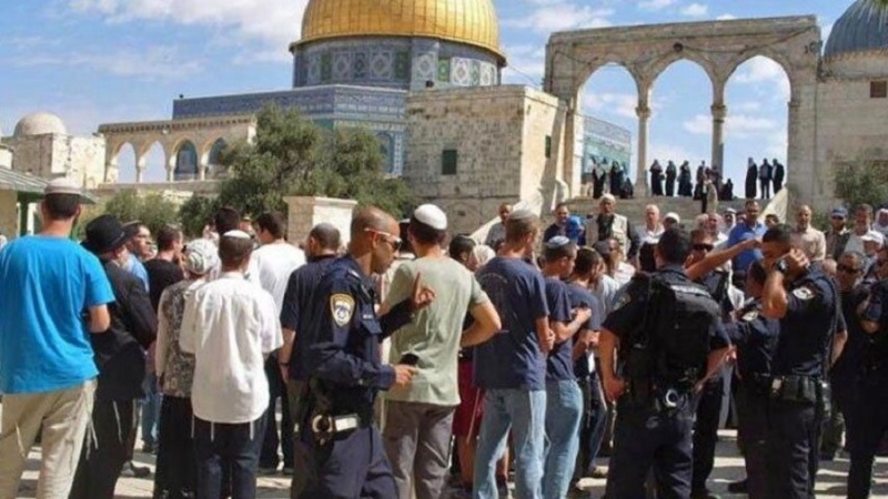 １５の米民間組織･連合、「イスラエル政権は人種主義的植民者」