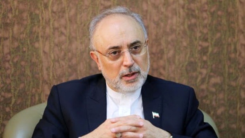 ایران تیس ہزار میگا واٹ تک جوہری بجلی پیدا کرنے کی توانائی رکھتا ہے