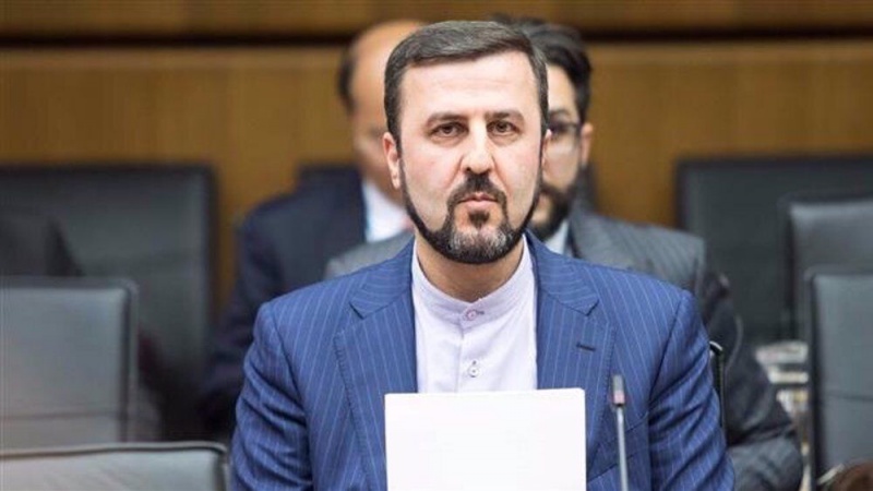 在ウィーン国際機関イラン代表、「IAEAとの協定は国際的保障措置制度に基づいたもの」