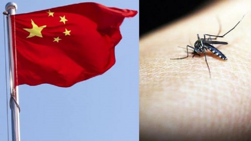 中国正式获得消除疟疾认证
