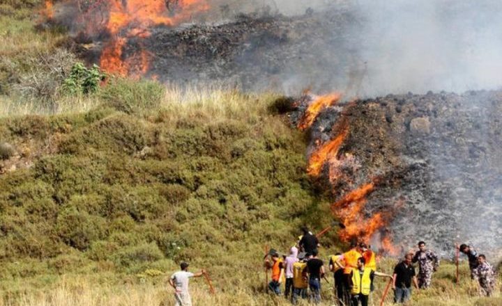 مستوطنون يضرمون النار بأراضي قرية جالود للمرة الثانية خلال الساعات الـ24 الأخيرة
