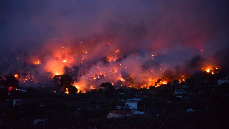 Cipro, brucia foresta Troodos: 4 morti e villaggi evacuati