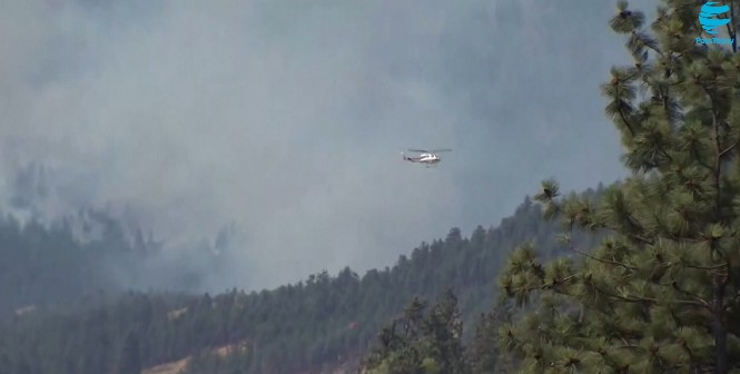 Gelombang Panas Bakar Hutan Kanada