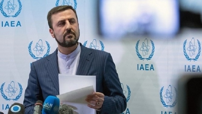 イラン国際機関代表「近く、国内でケイ化物燃料板を製造」