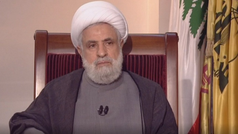 Шейх Касим признал сотрудничество с палестинским сопротивлением в 11-дневной войне в Газе