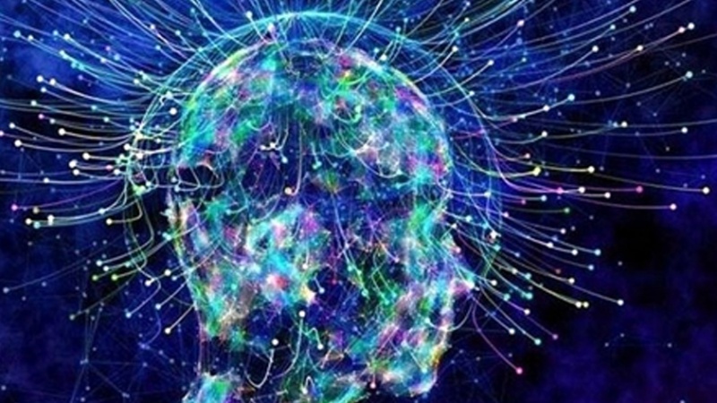 Иранда стартап ширкәтләрин сон наилијјәтләри тәгдим олунуб