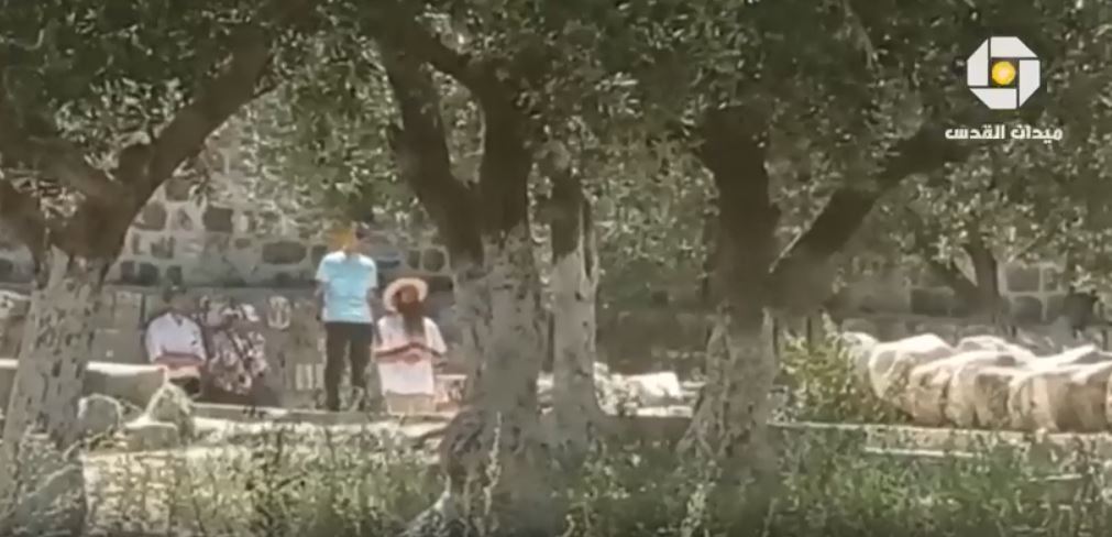 Video: Jewish settlers break into al-Aqsa Mosque, performed Talmudic rituals under protection of Israeli forces