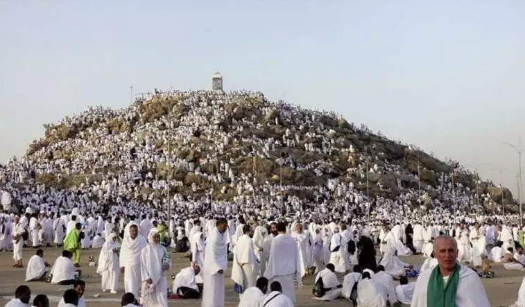 حجاج بيت الله الحرام يقفون على صعيد عرفات لأداء ركن الحج الأعظم