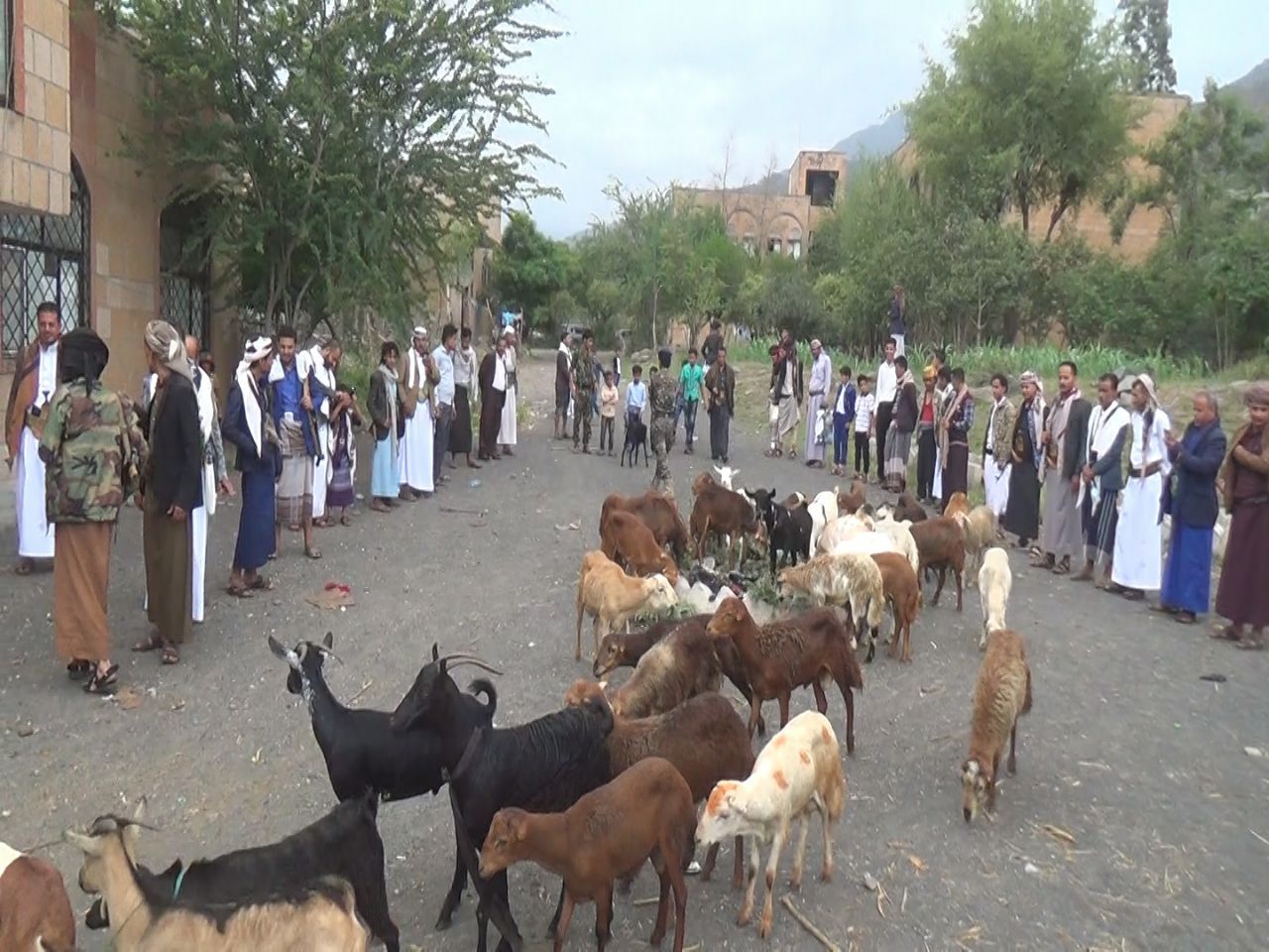 قافلة عيدية من مديرية العدين بإب إلى أبطال الجيش واللجان 