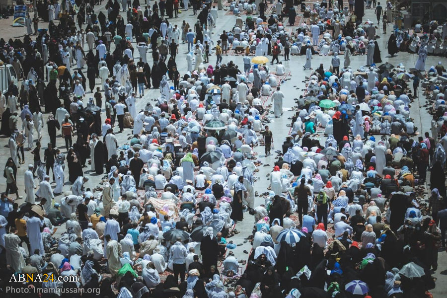 تقارير مصورة / قراءة دعاء عرفة في حرم الامام الحسين (ع) 