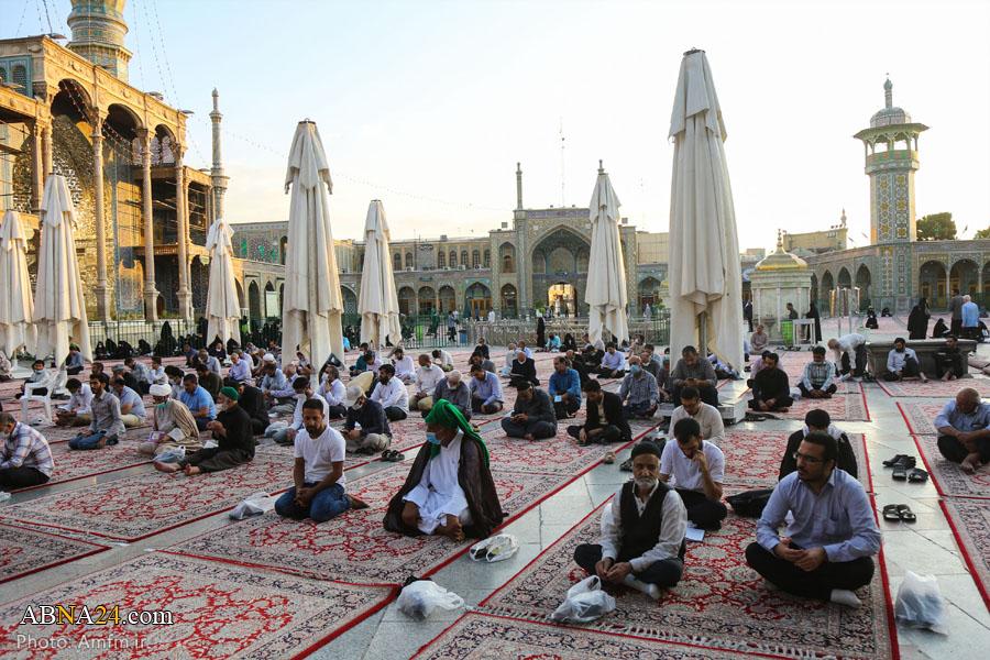 تقارير مصورة / قراءة دعاء الندبة بيوم عيد الأضحى المبارك في حرم السيدة المعصومة (ع)