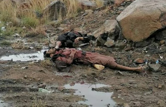 شبوة.. مقتل أمير تنظيم القاعدة في “ولاية بيحان” وسط ظروف غامضة