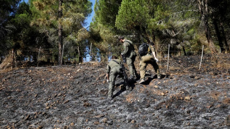 Tentara Israel Curi Ratusan Ternak Milik Warga Lebanon