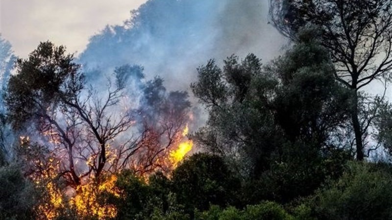 イスラエル北部で山火事が発生