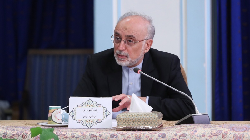 Salihi: İran'ın nükleer endüstrisinin başarıları sebepsiz değildir