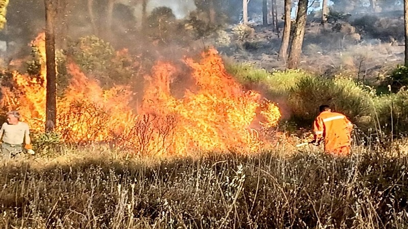 Italia, l’assedio del fuoco al Centrosud: oltre 1200 roghi