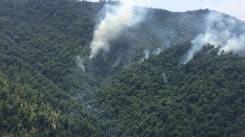 Азәрбајҹан Республикасында мешә јанғынлары нәзарәтә алыныб