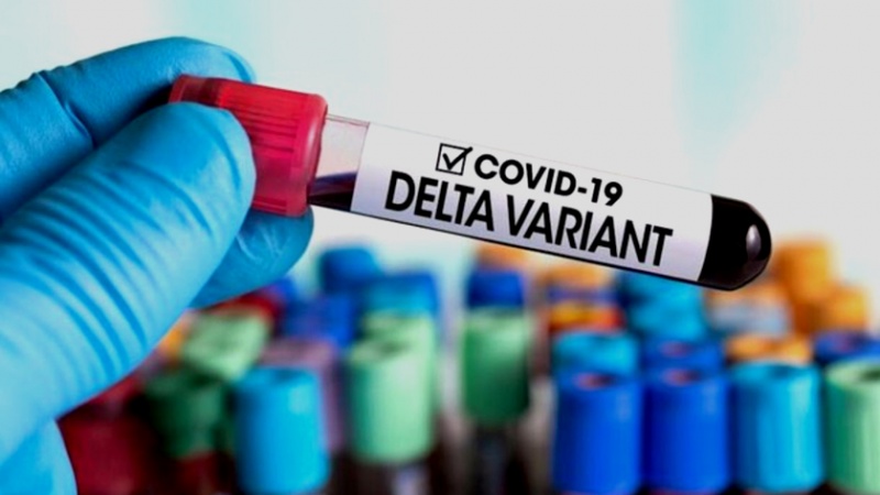 Variante Delta, Ema: vaccini funzionano