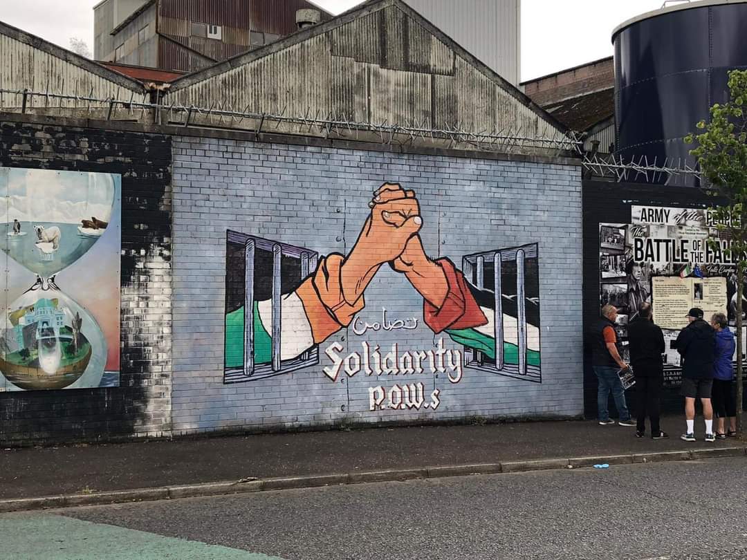 Photos: Solidarity paintings in Ireland with Palestine