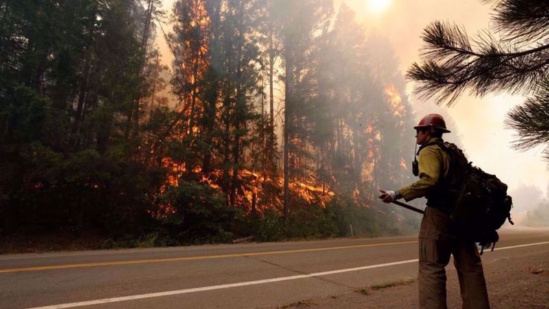 Grecia, fiamme fuori controllo in Attica