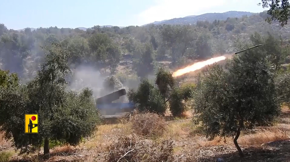 Resistance in Palestine, Yemen hails Hezbollah’s retaliatory strike in Shebaa Farms