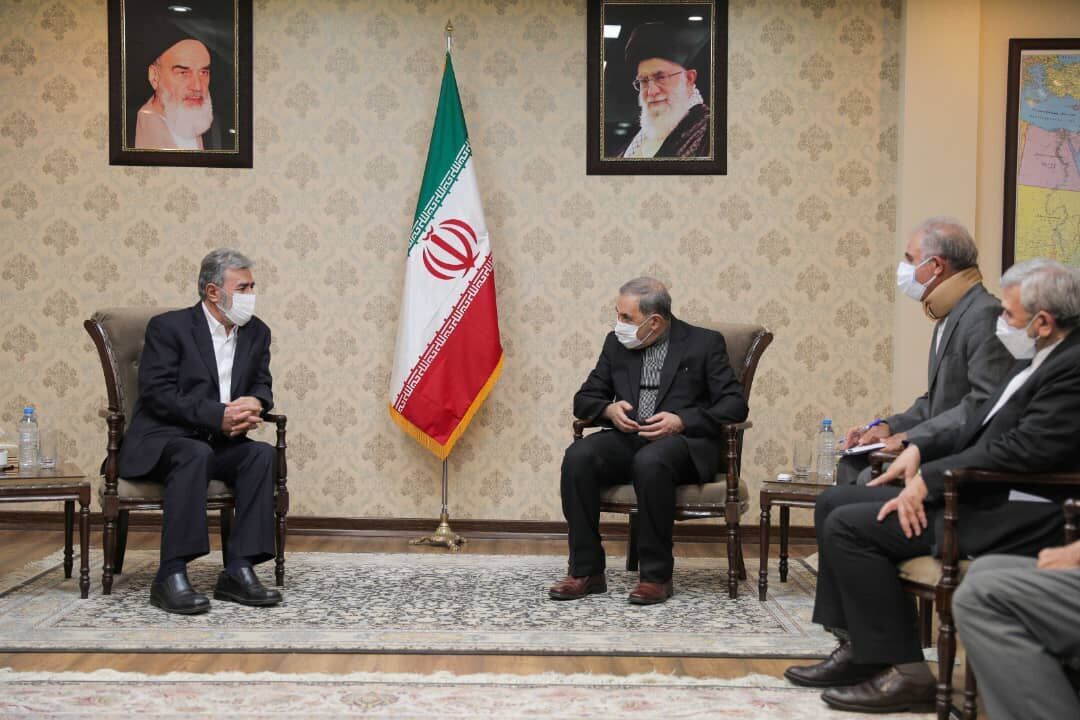 Destabilisers should leave West Asia: Iran's Velayati