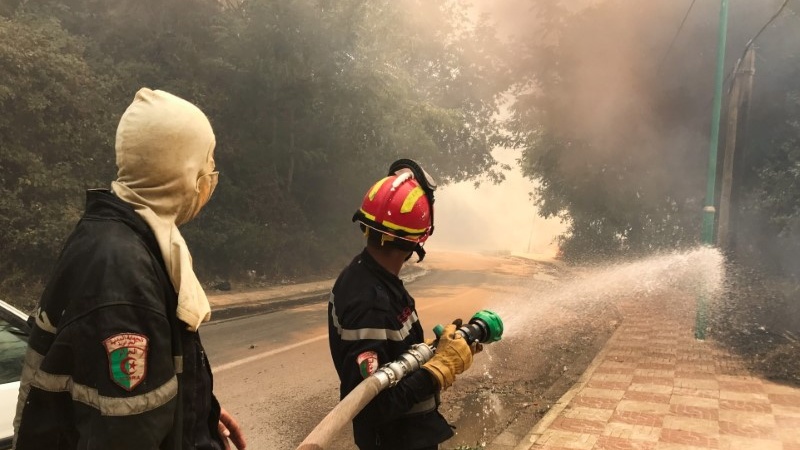 阿尔及利亚森林火灾已造成42人死亡