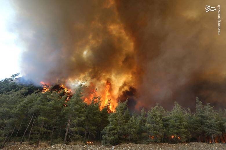 Požari u Turskoj stavljeni pod kontrolu