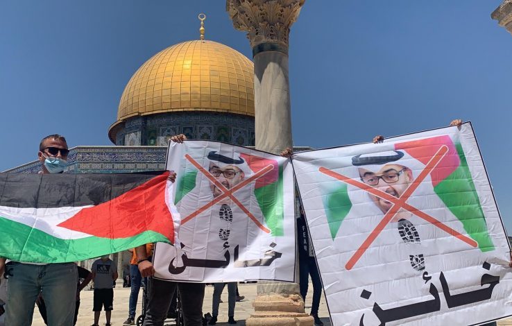 مستشار ابن زايد: الشعب الفلسطيني في غزة يعاني بسبب حماس لا "إسرائيل"!