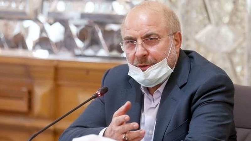 Спикер Парламента: в отношении грубых действий послов России и Великобритании должны быть приняты меры
