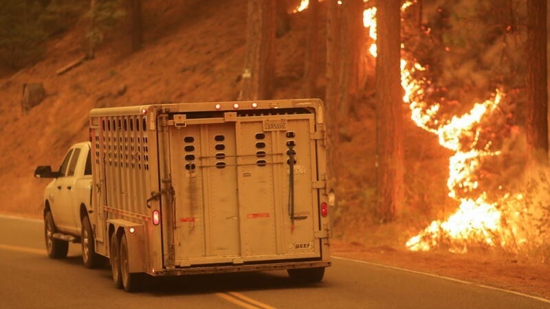 米カリフォルニア州で、強風により山火事被害が拡大