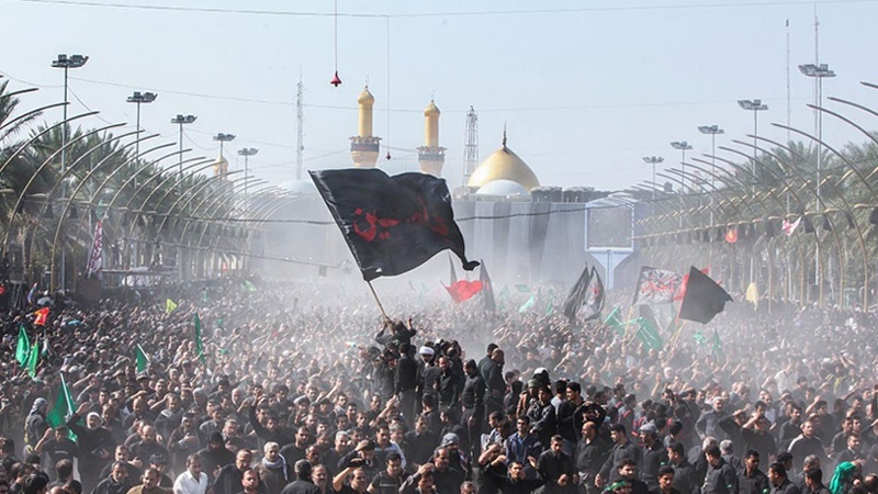 Присутствие 6 миллионов паломников по имаму Хусейну (мир ему!) в Кербеле