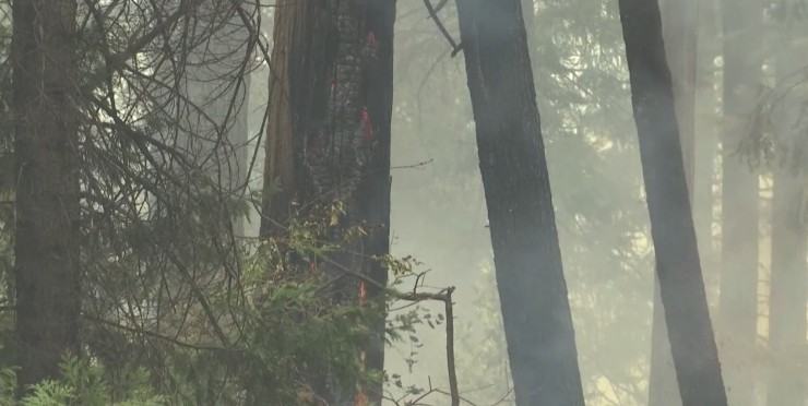 米加州で山火事の消火活動進まず、建物３２０軒が破壊