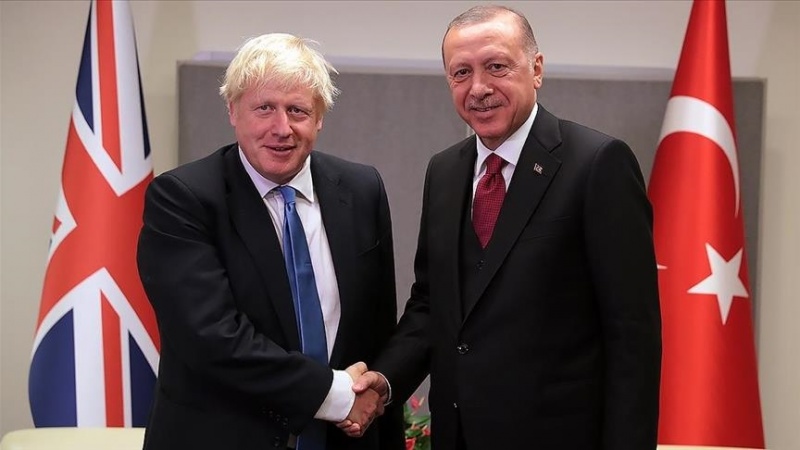 Erdoğan ile Johnson, Afganistan'ı görüştü