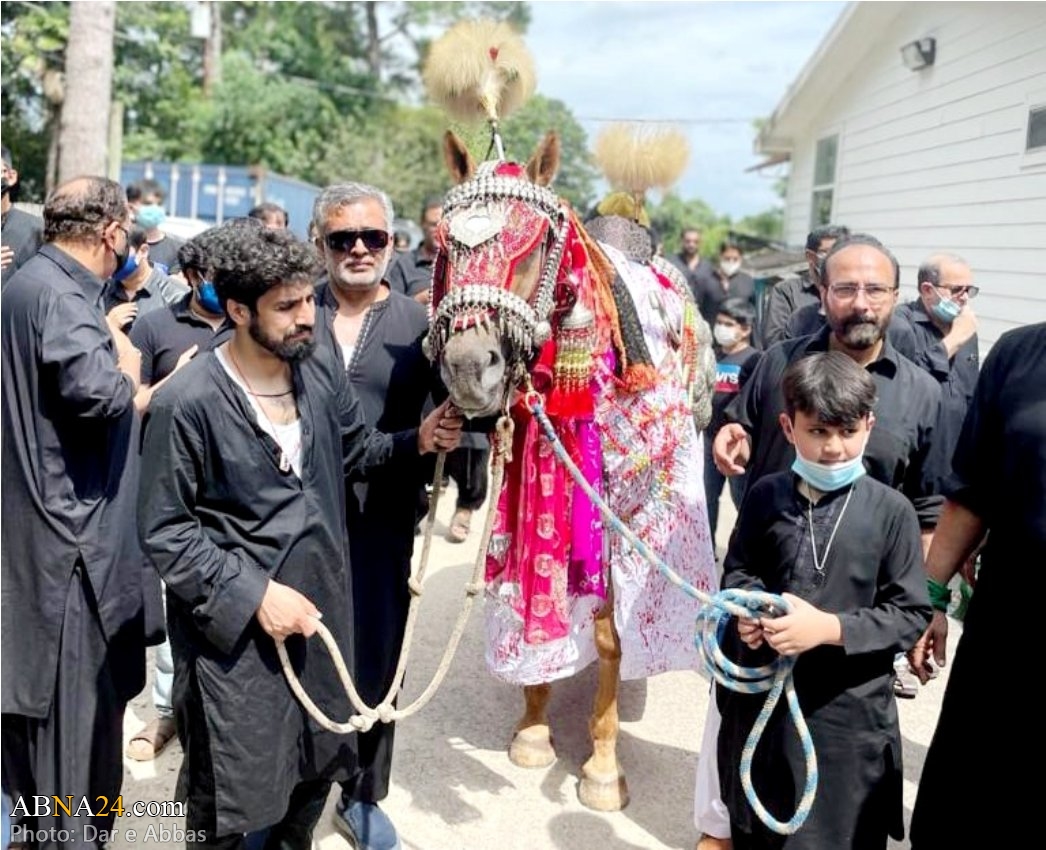 تصویری رپورٹ/ امریکہ کی ریاست ٹیگزاس میں جلوس عاشورہ