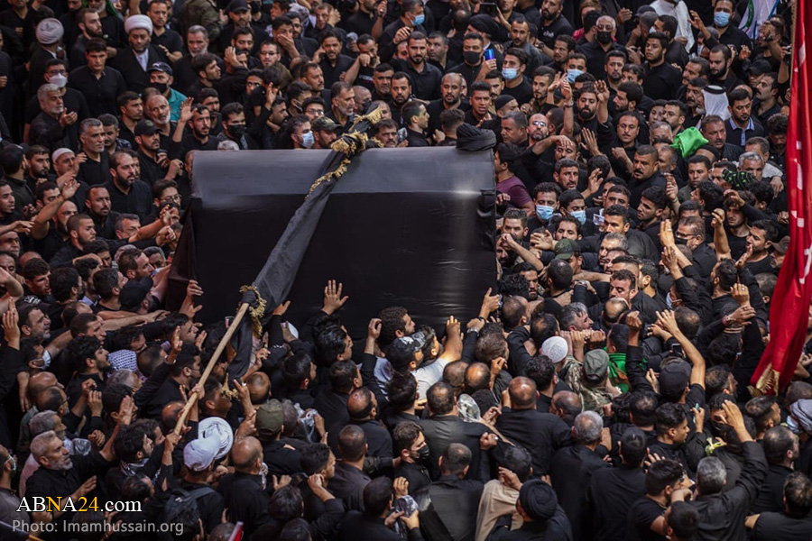 تقارير مصورة / تشييع مهيب للمرجع الديني السيد محمد سعيد الحكيم في مدينة النجف الأشرف -1